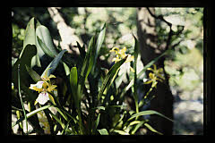 tanSF.A04-09_35()
