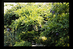 tanSF.A04-11_07()
