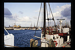 tanSF.A04-14_07()