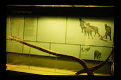 tanSF.A04-20_30()