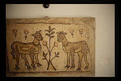 tanSF.A04-21_07()