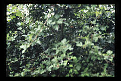 tanSF.A04-22_01()