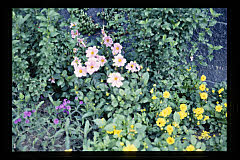 tanSF.A04-22_12()
