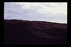 tanSF.A05-11_05()