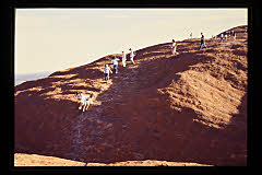 tanSF.A05-11_06()