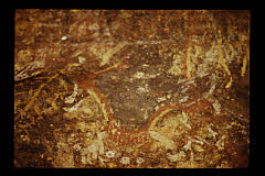 tanSF.A05-11_19()