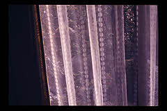tanSF.A05-12_01()