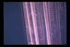tanSF.A05-12_02()