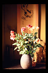 tanSF.A05-12_03()