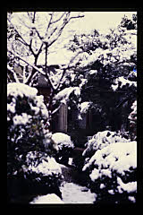 tanSF.A05-12_05()