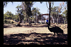 tanSF.A05-12_34()