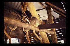 tanSF.A05-12_36()