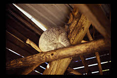 tanSF.A05-12_37()