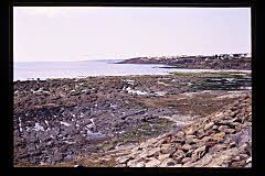 tanSF.A05-13_16()