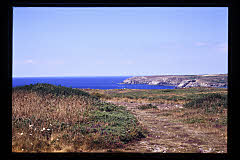 tanSF.A05-13_35()