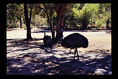 tanSF.A05-14_08()