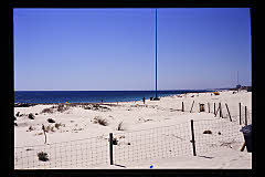 tanSF.A05-14_30()