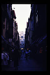 tanSF.A05-16_14()