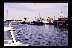 tanSF.A05-17_33()