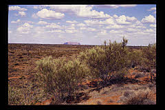 tanSF.A05-19_28()