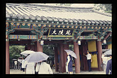 tanSF.A06-03_05()