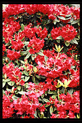 tanSF.A06-20_22()
