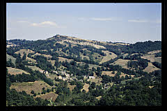 tanSF.A06-22_24()