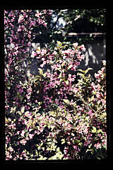 tanSF.A06-23_11()