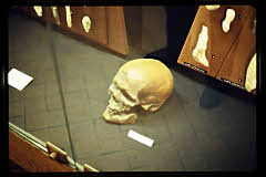 tanSF.A07-04_04()
