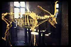 tanSF.A07-04_08()