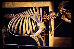 tanSF.A07-04_09()