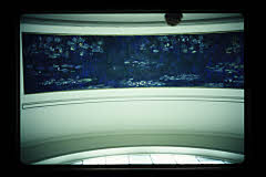 tanSF.A07-10_21()