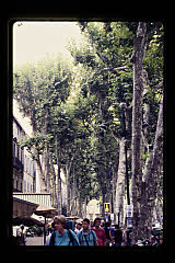 tanSF.A07-11_06()