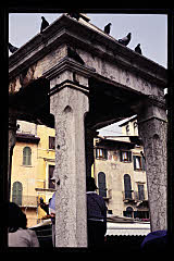 tanSF.A10-03_07()