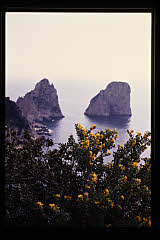 tanSF.A10-04_35()