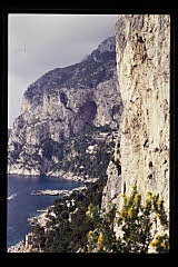tanSF.A10-04_36()