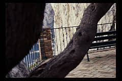 tanSF.A10-05_01()
