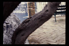 tanSF.A10-05_02()