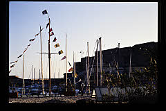 tanSF.A10-05_20()