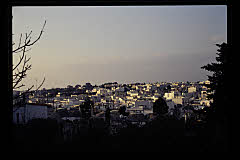 tanSF.A10-08_03()