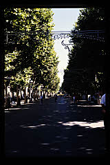 tanSF.A12-04_29()