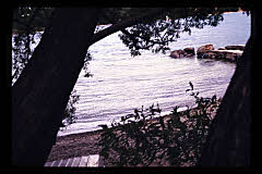 tanSF.A12-06_01()