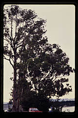tanSF.A12-08_10()