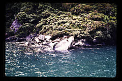 tanSF.A12-08_37()