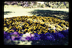 tanSF.A12-09_10()