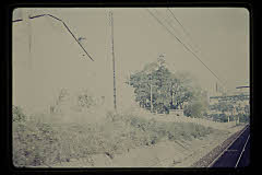 tanSF.B01-06_14()