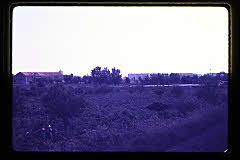 tanSF.B01-07_34()