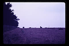tanSF.B01-08_25()