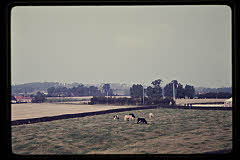 tanSF.B01-09_25()