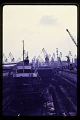 tanSF.B01-09_36()
